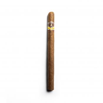 Aladino Corojo Patton Cigar - 1 Single